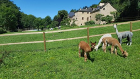 La Ferme des Andes - Gîte l'Atelier, Quins